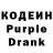 Codein Purple Drank SIDDHARTHA BURMAN