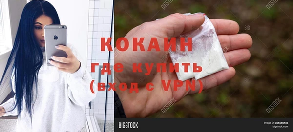крисы Михайловск