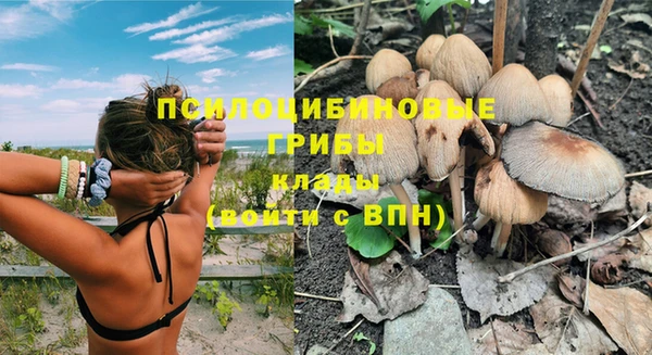 крисы Михайловск