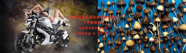 трава Михайлов