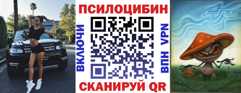 Галлюциногенные грибы Psilocybine cubensis  Купить закладки  Лесосибирск 